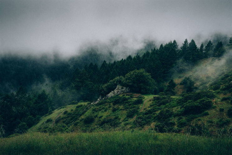 Header