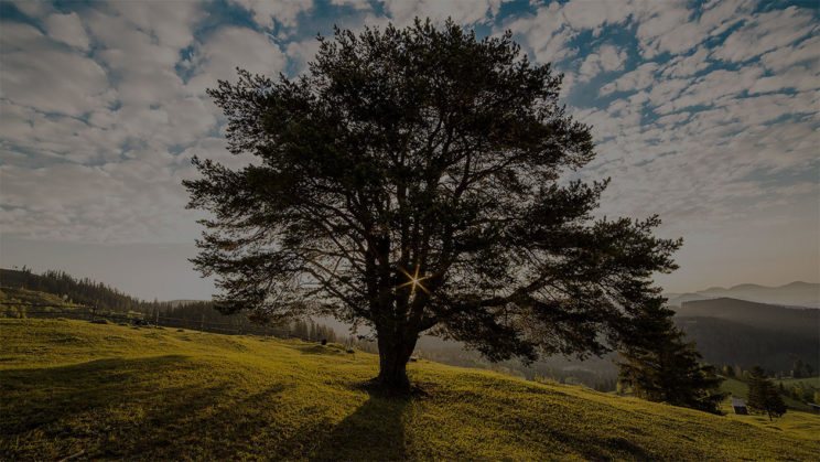 Blog Piotr Wildanger