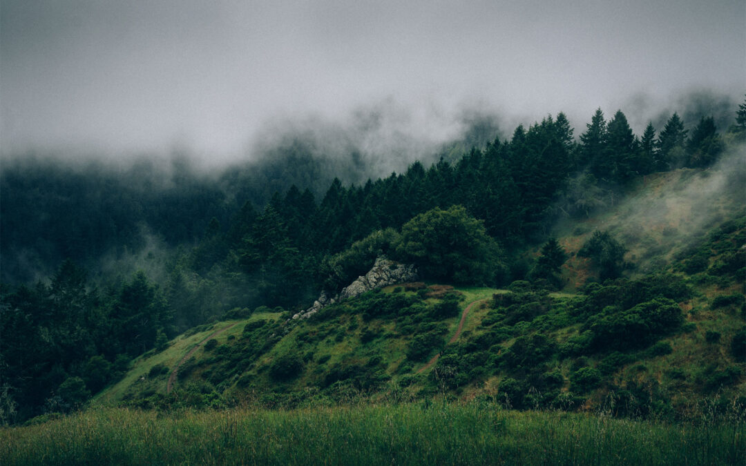 header2